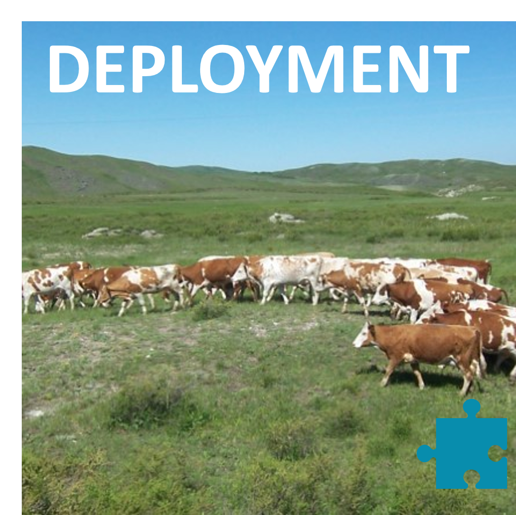 Deploi new en