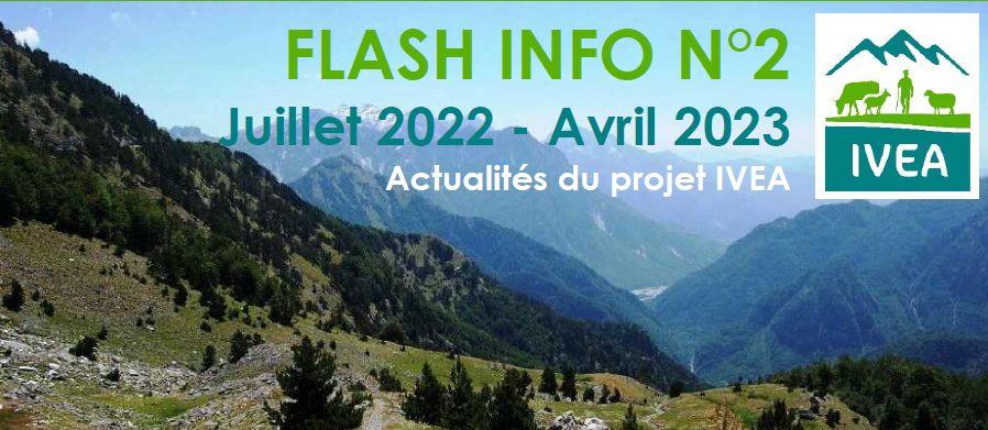 Flash 2