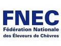 Fnec