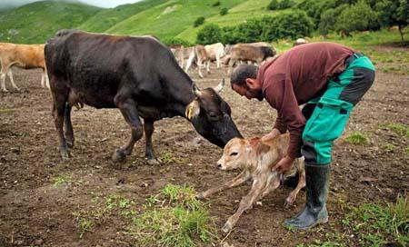French investments in agricultur
