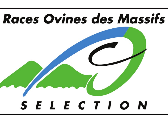 Image 2021 10 21 155740