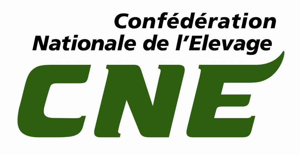 Logo cne
