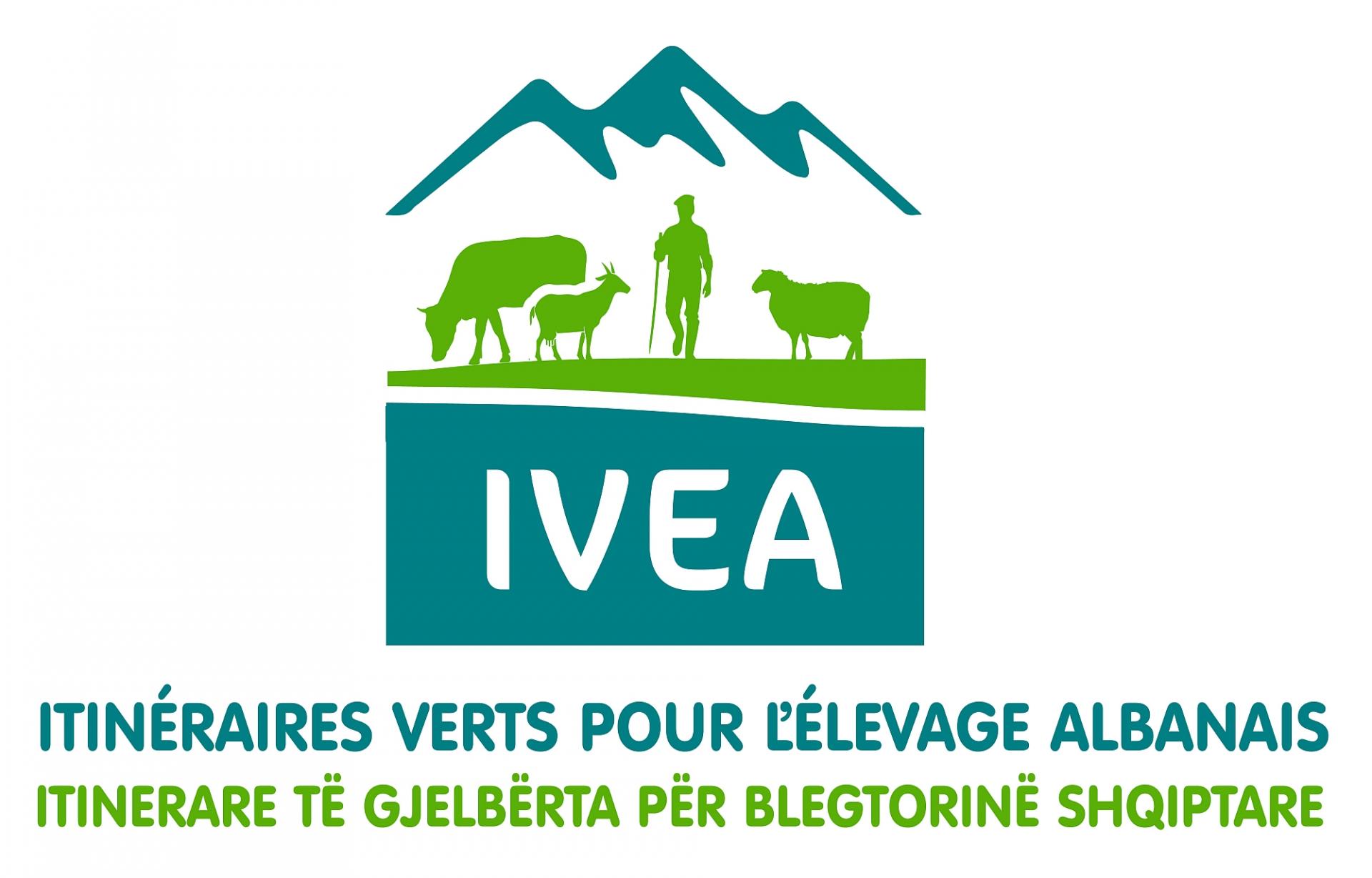 Logo iveasmall