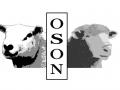 Oson 1