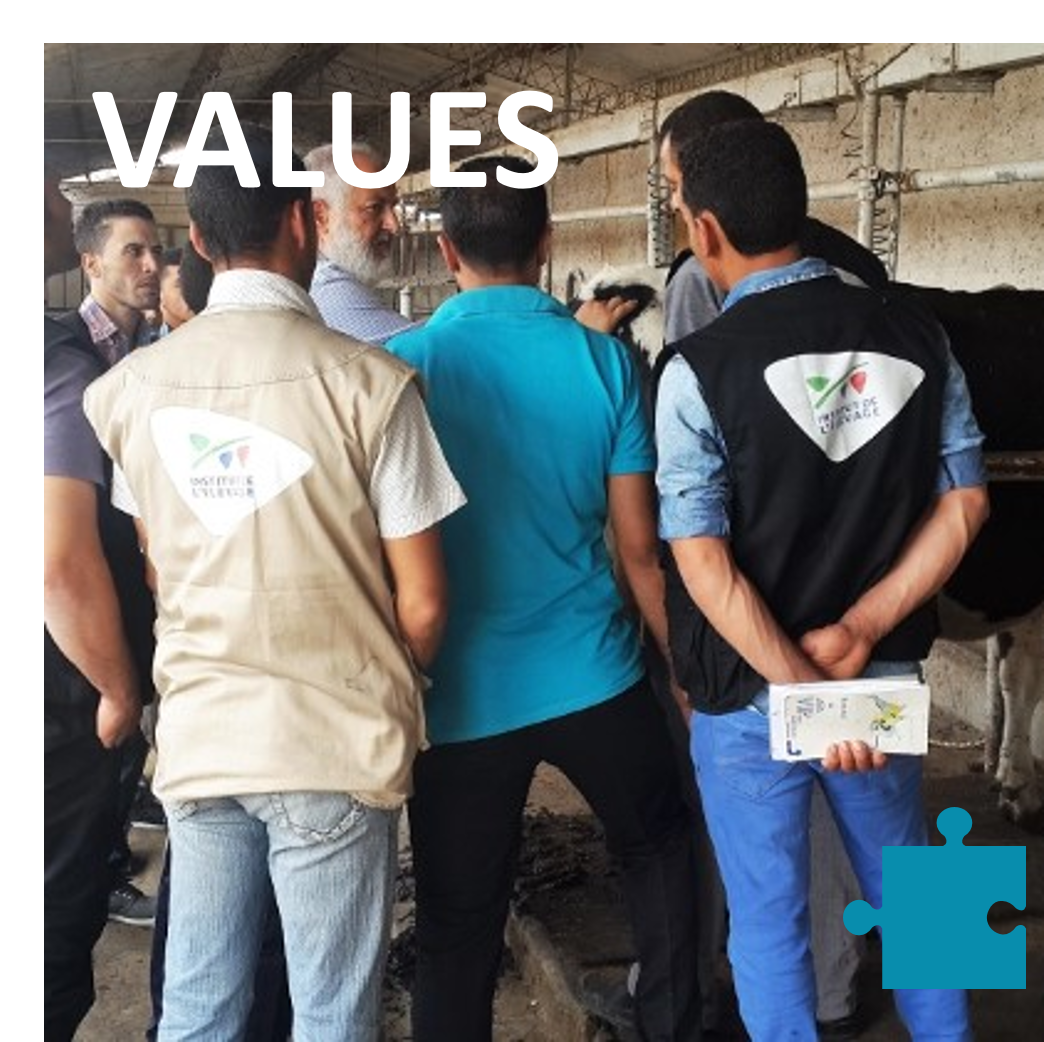 Valeurs new en