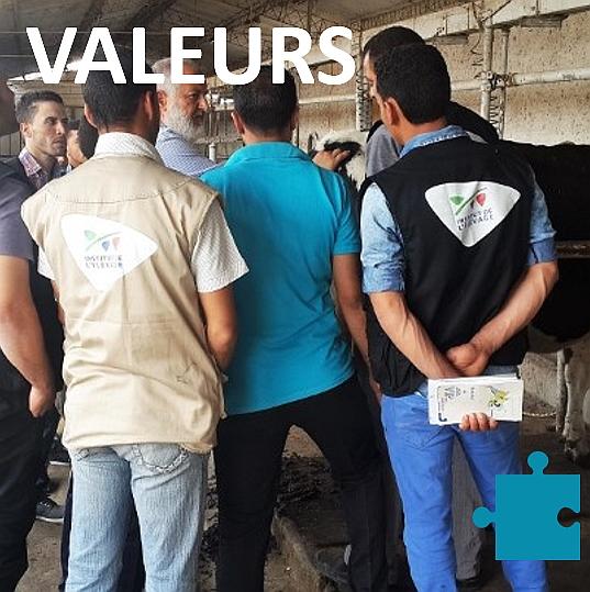 Valfr